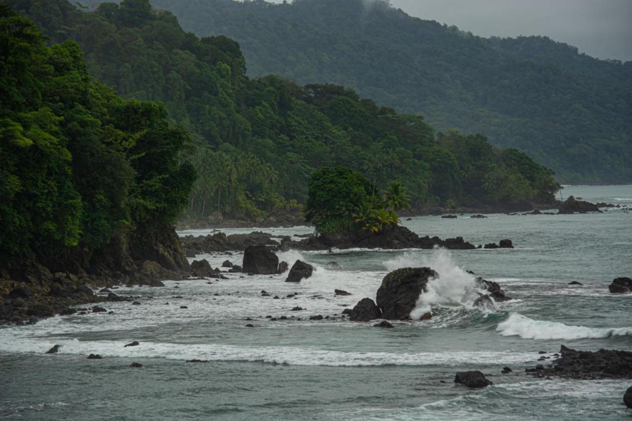 Reserva Natural Selva Mojada Nuquí Exteriér fotografie